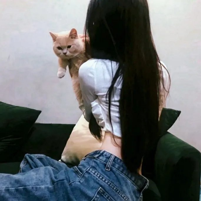 大话骰